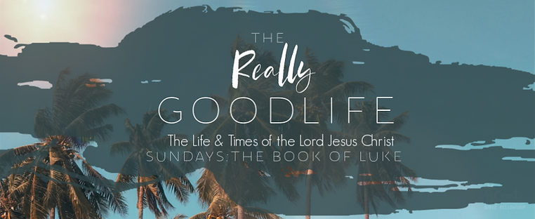 The Really Goof Life (1).png