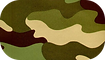 camouflage1.png