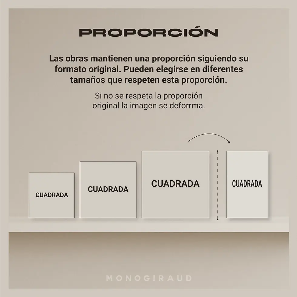 Proporcion.webp