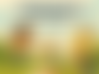 Making Public Education Better: The Importance of Movement and Play in Learning