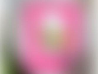 Let's Pasta Time Together! | #spreadjoynotgermsOfficial Blog Hop