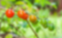 Screen Shot 2023-05-13 at 1.41.48 pm.png