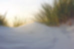 AP BC 2013 Back Pic DUNES.jpg