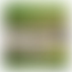 ふもとのマルシェvol,9出展応募開始
