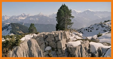 From Research to Operational Impact: Real-Time Monitoring Published in Clean Water