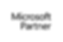 microsoft-partner-logo.png