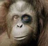 Ouch!! That’s Gonna Leave A Mark!!