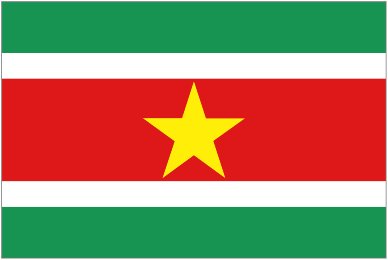 suriname flag