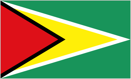 guyana flag