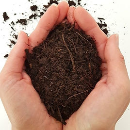 compost in hands square.jpg