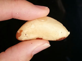 Too much of a good thing... brazil nuts.