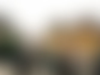 眾星加持! 東港原創音樂劇《港墘仔》迎王陣頭文化首登劇場舞台