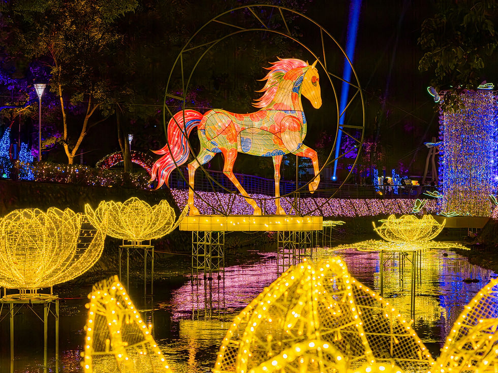 客家燈區「花馳夜合」