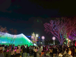 屏東燈節美學爆發 氣勢磅礡被封為台灣春節賞燈首選