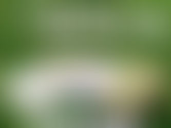 「屏東SOLO」第三輯旅遊專書5月3日發表 小米縣長簽書會、33鄉鎮市集同步登場