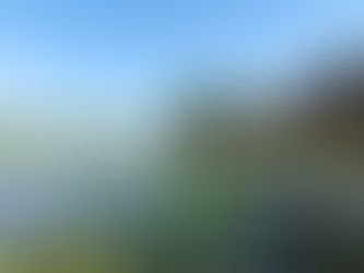 屏東萬年濕地群申請「重要濕地」獲內政部肯定