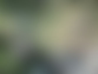 不一樣的路!學水牛從三角點到外灘