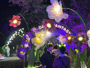 太夯了!「奇幻大津」年前及春節線上搶票一空掀屏北觀光熱潮