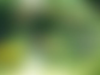 花都開好了 且看那幽香裊裊多療癒
