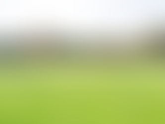 新埤貓頭鷹共融公園