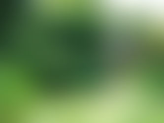20年執念 仨男圈存邊角地上華麗荒野