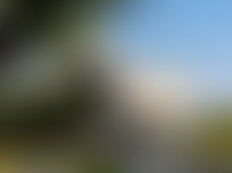 閱讀,像森林一樣長出來