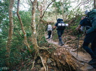 拾階而上，走進自己的呼吸裡─登山