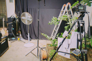 Woodpecker Tiny Desk Shoot - Behind the Scenes