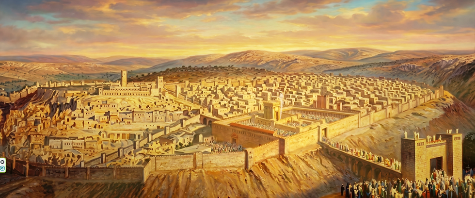 תמונה ממוזערת: מבצע למקדש פנינו- תשעת הימים