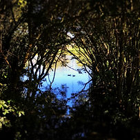IMG_5773.jpeg