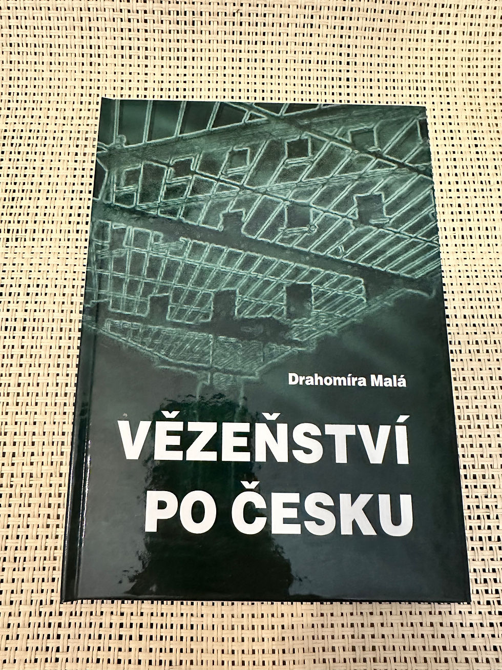 Miniatura: Vězeňství po česku - Drahomíra Malá