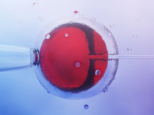 How Much Does IVF Cost in India? A Comprehensive Guide