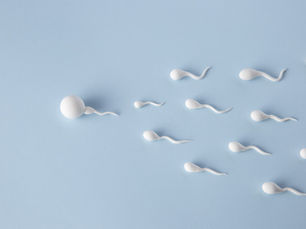 How to Increase Sperm Count: Tips and Strategies