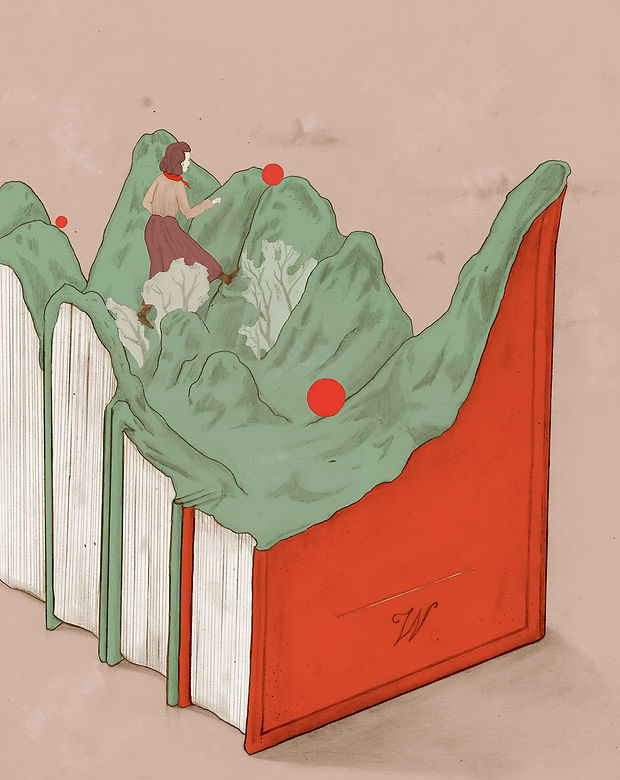 1.LINUS_Mountain's books_Paravicini.jpg