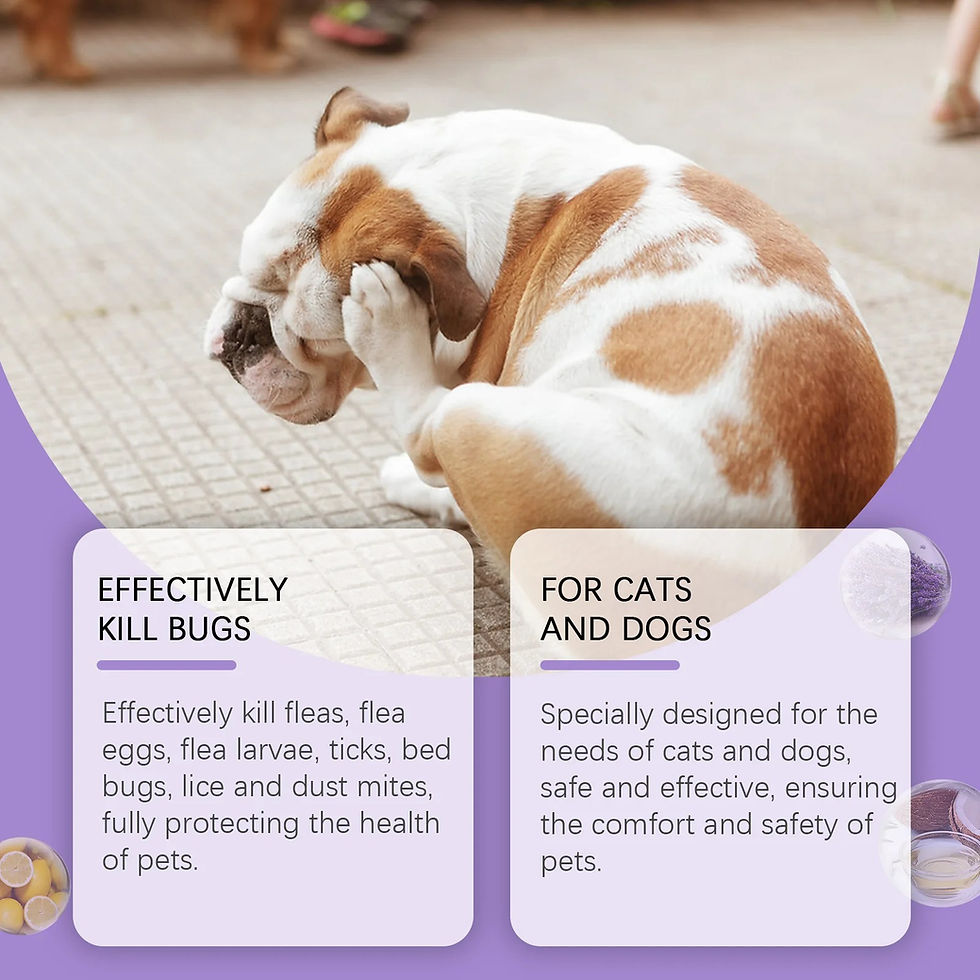 Thumbnail: Flea & Tick Pet Spray – Non-Toxic