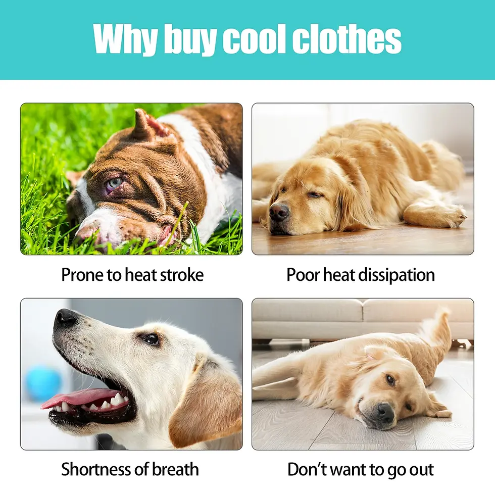 Thumbnail: Breathable Cooling Vest for Dogs