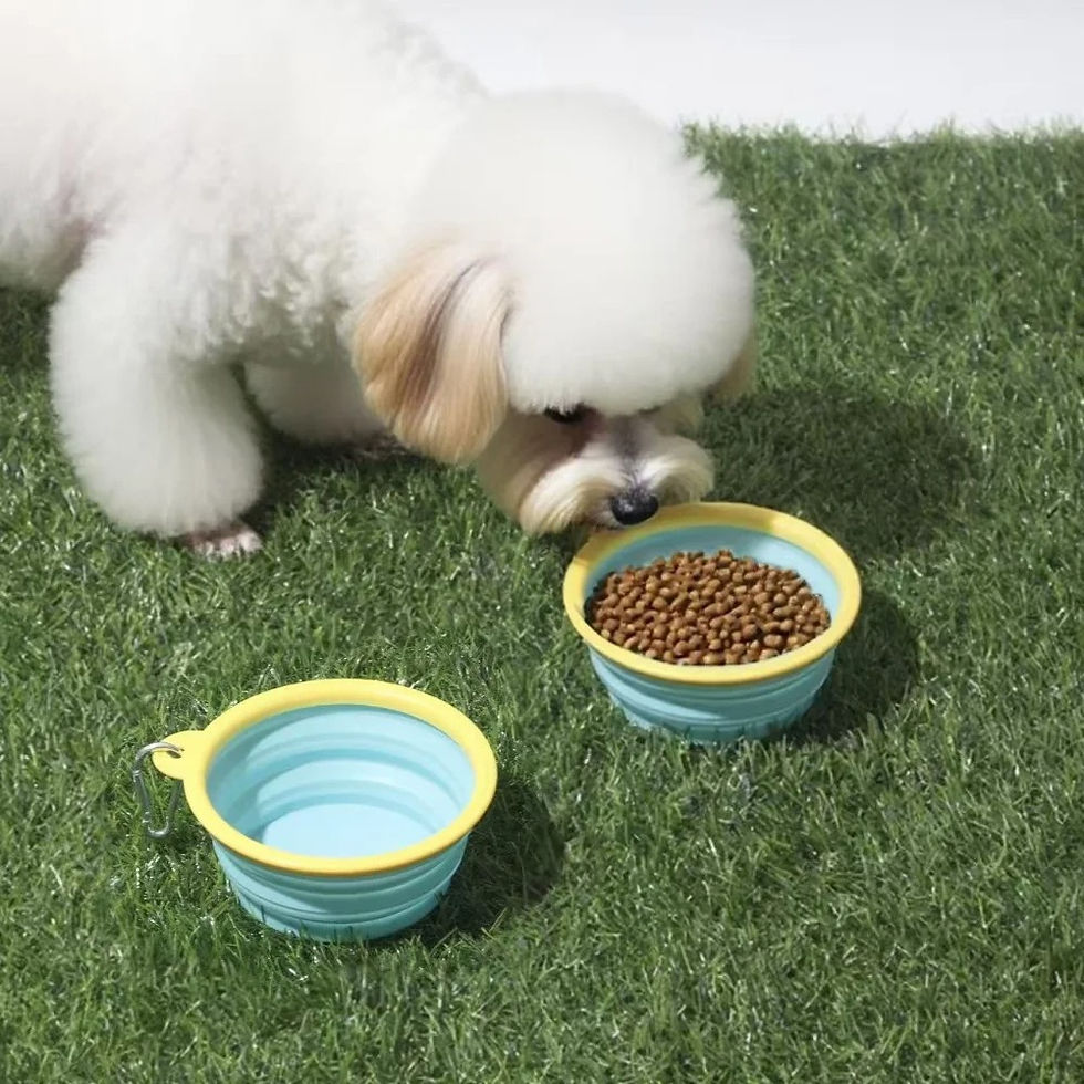 Thumbnail: Foldable Travel Dog & Cat Bowl – Portable & Clip-On