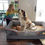 Thumbnail: Large Orthopedic Memory Foam Dog Bed