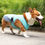 Thumbnail: Breathable Cooling Vest for Dogs
