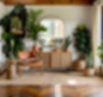 a biophilic interior design home with houseplants, console table, leather chair