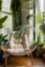 a chair in a biophilic interior designed home with houseplants next to windows