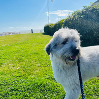 IMG_1447.jpeg