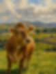 ChatGPT Image Jun 21, 2026, 08_34_54 AM.png