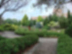 Earth Day Tour at Chadwick Arboretum