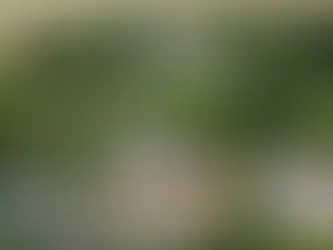 marquee wedding at stately home