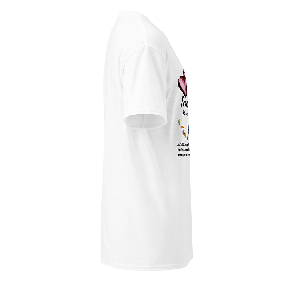 Thumbnail: "Healing Is a Transformation Process" DryBlend® T-Shirt (Black Print)