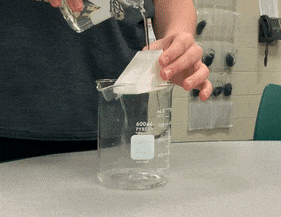 ezgif.com-optimize (1).gif