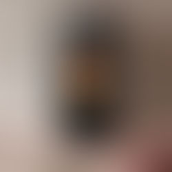 Poêle à pellets Vivi Palazzetti