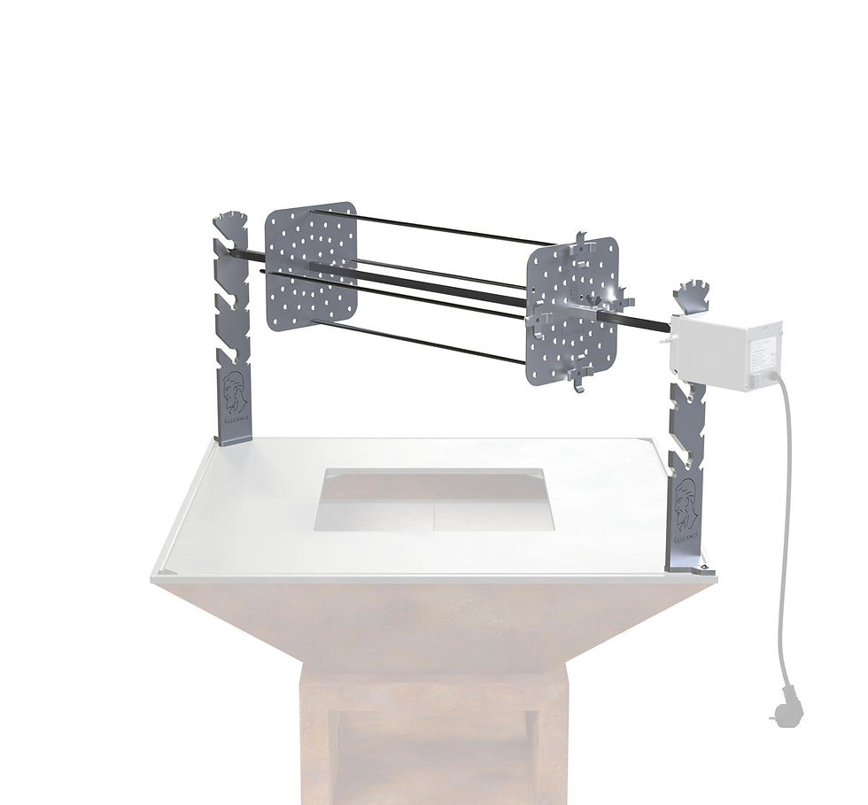 Miniature : Vulcanus Pro910 Rotisserie