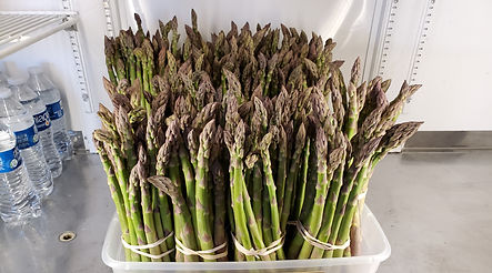 Picture of locally grown asparagus